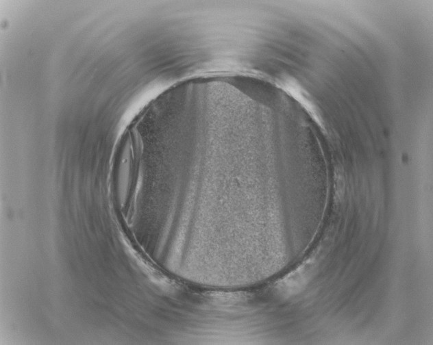 X0000059241469200510281918