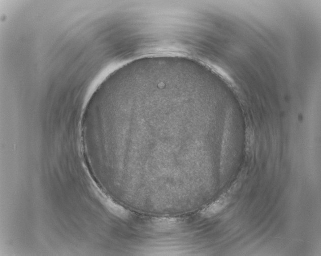 X0000059241470200510281918