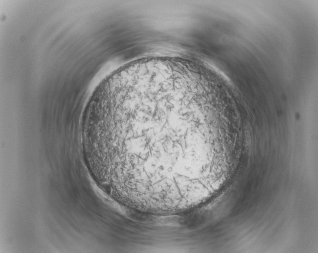 X0000059241471200510281918