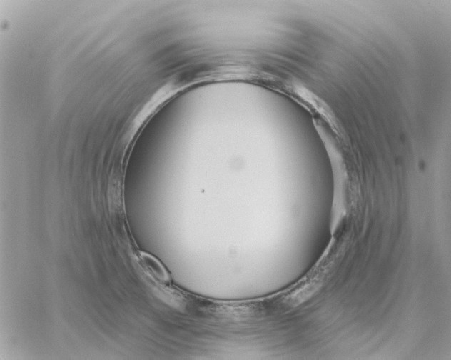 X0000059241473200510281918