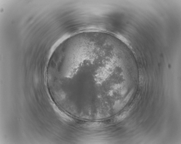 X0000059241474200510281918