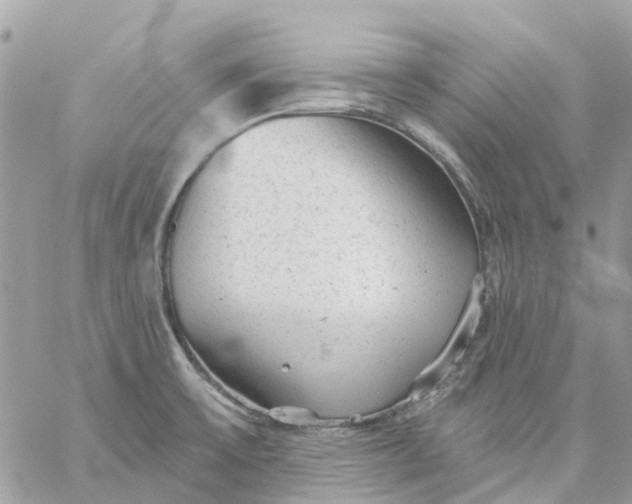 X0000059241475200510281918