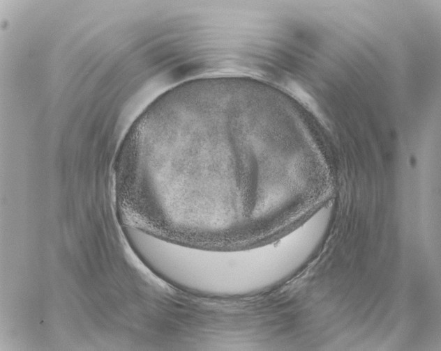 X0000059241476200510281918