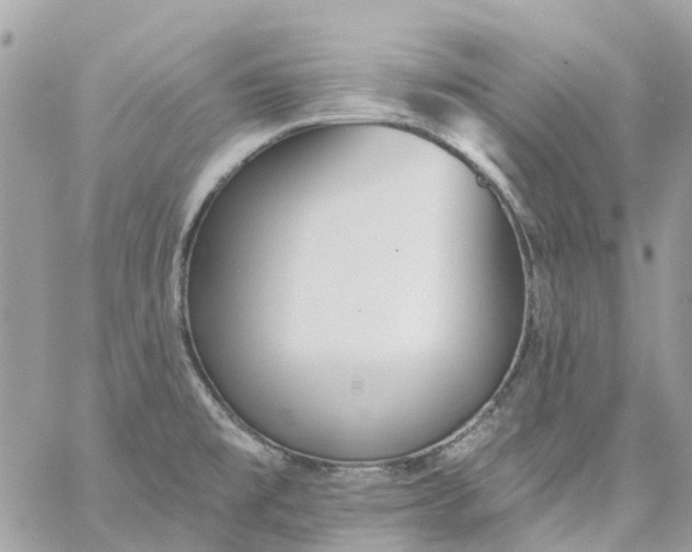 X0000059241477200510281918