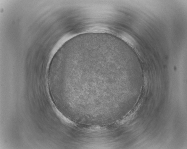 X0000059241478200510281918