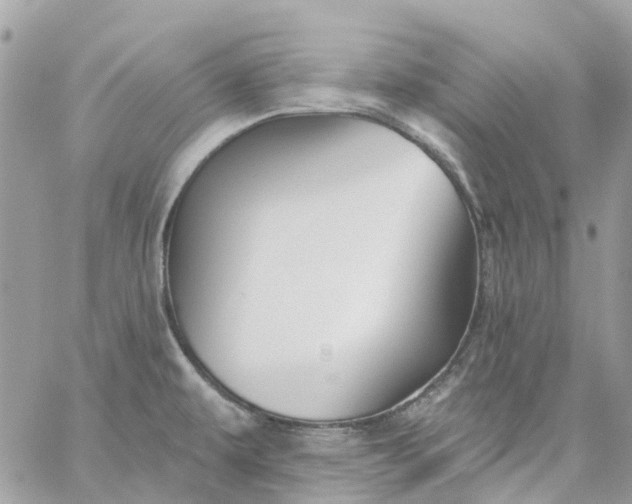 X0000059241479200510281918