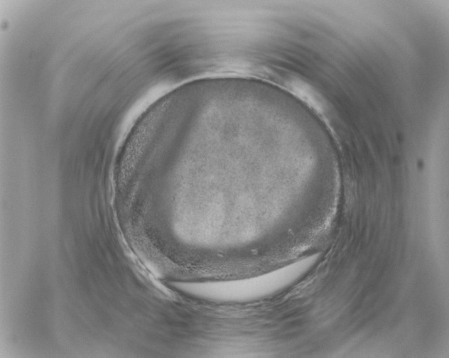 X0000059241480200510281918