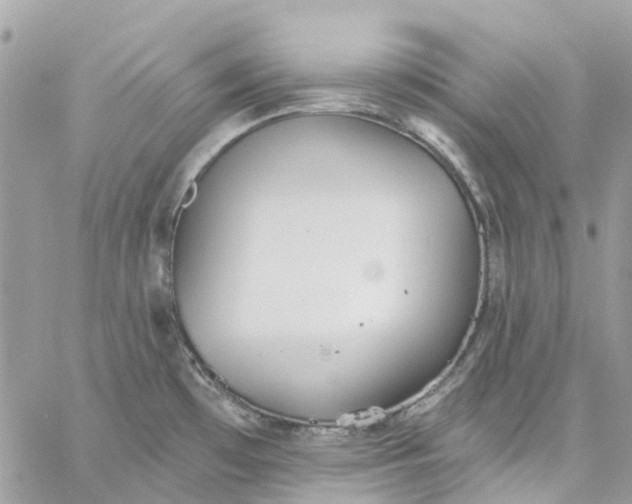 X0000059241481200510281918