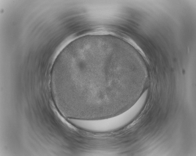 X0000059241484200510281918