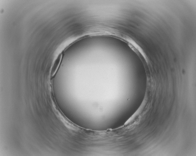 X0000059241485200510281918