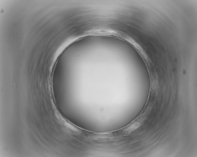 X0000059241486200510281918