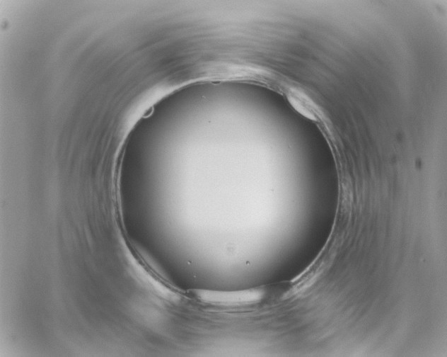 X0000059241487200510281918