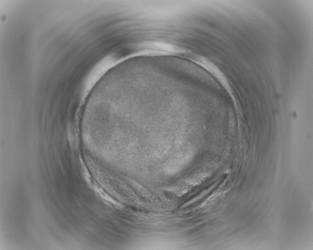 X0000059241488200510281918