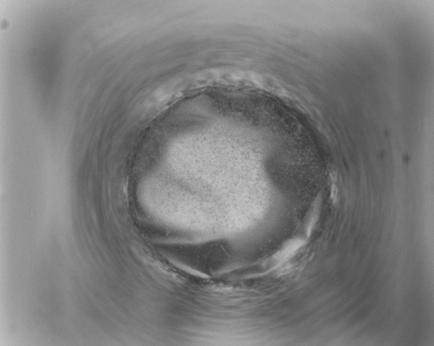 X0000059241489200510281917