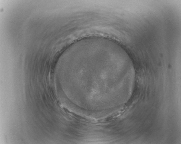 X0000059241490200510281917