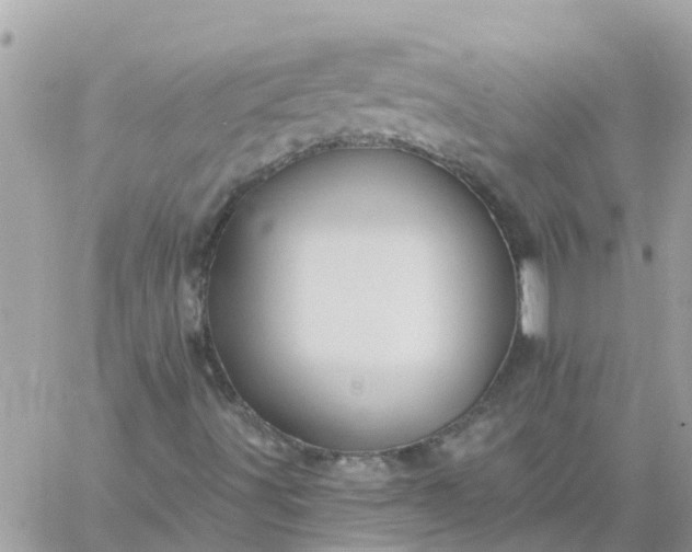 X0000059241491200510281917