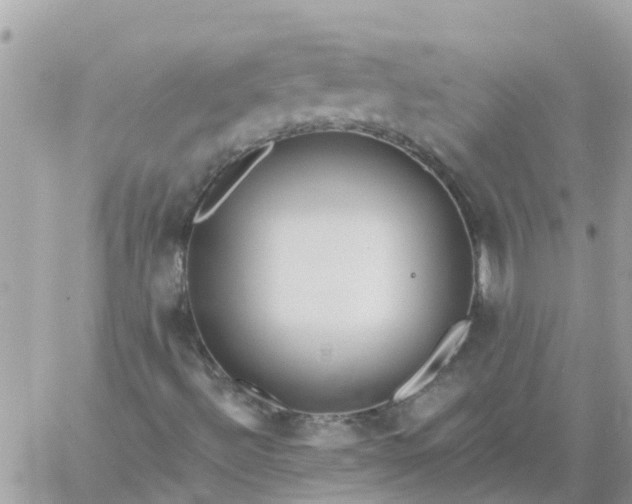 X0000059241492200510281917