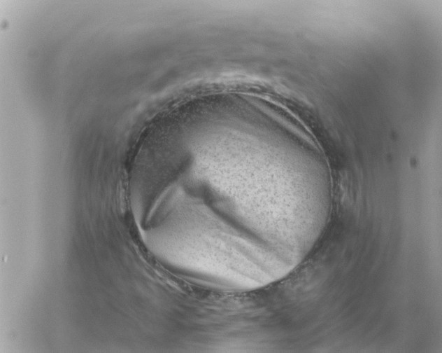 X0000059241493200510281917