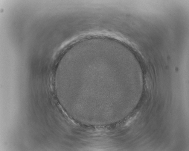 X0000059241494200510281917