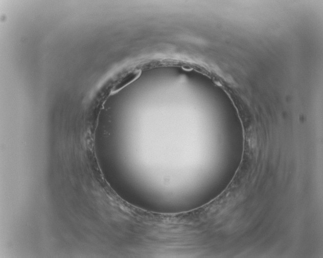 X0000059241495200510281917