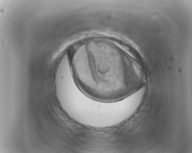 X0000059241496200510281917