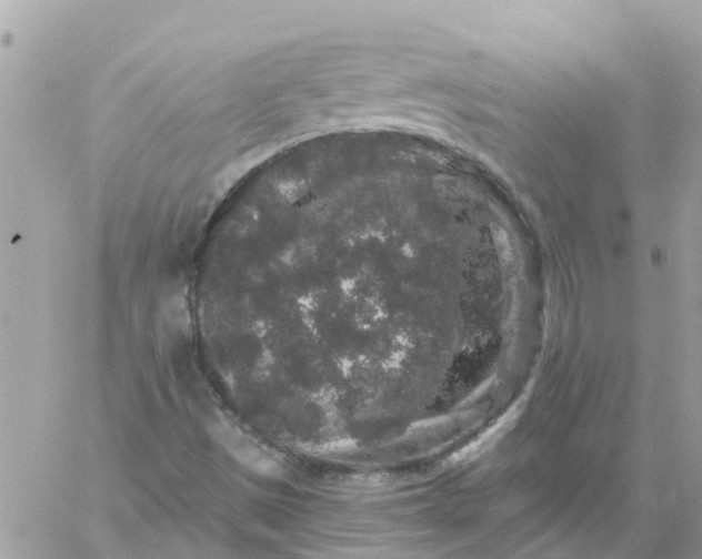 X0000059241497200510281917