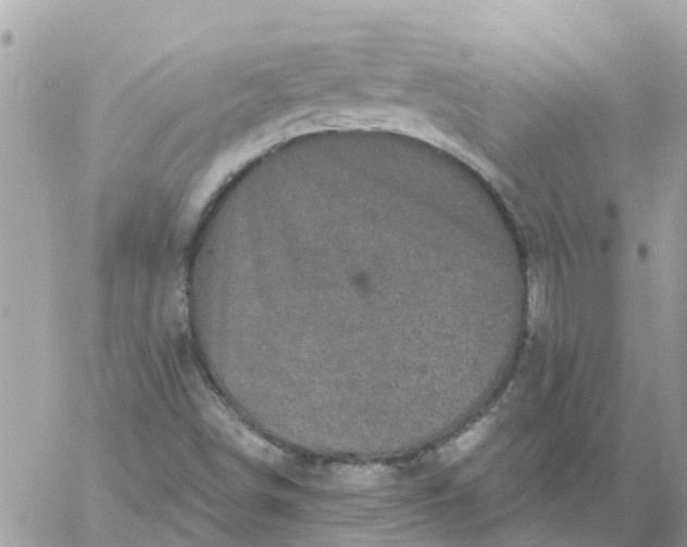 X0000059241498200510281917