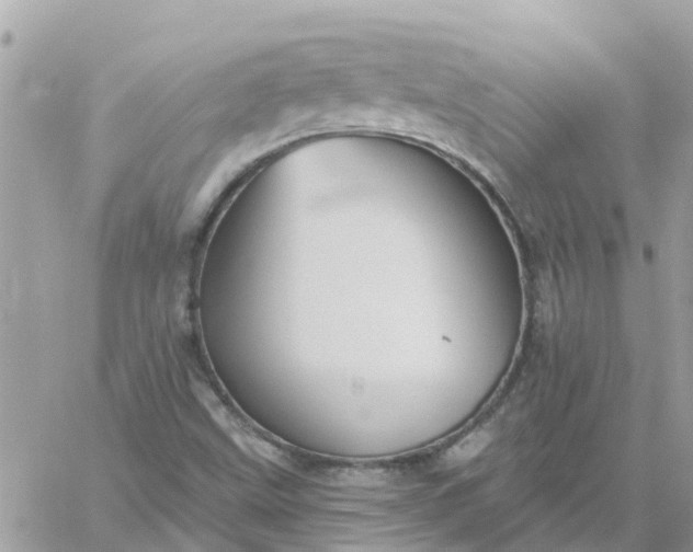 X0000059241499200510281917