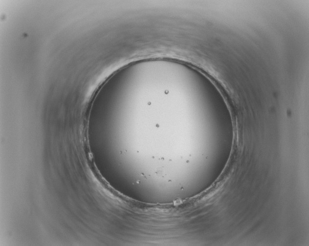 X0000059241500200510281917