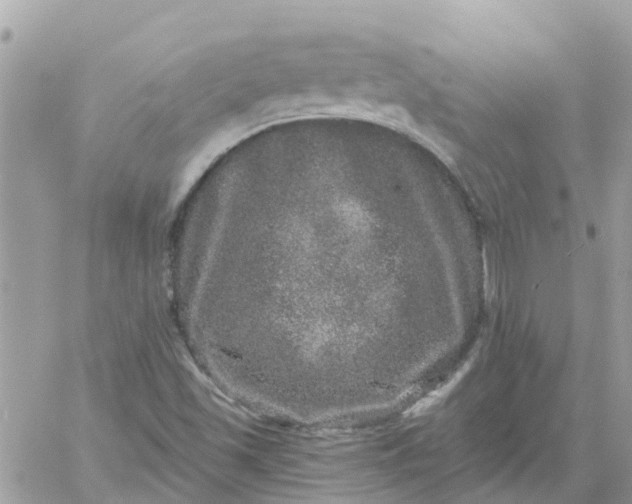 X0000059241501200510281917