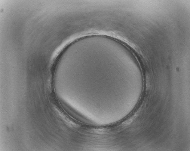 X0000059241502200510281917