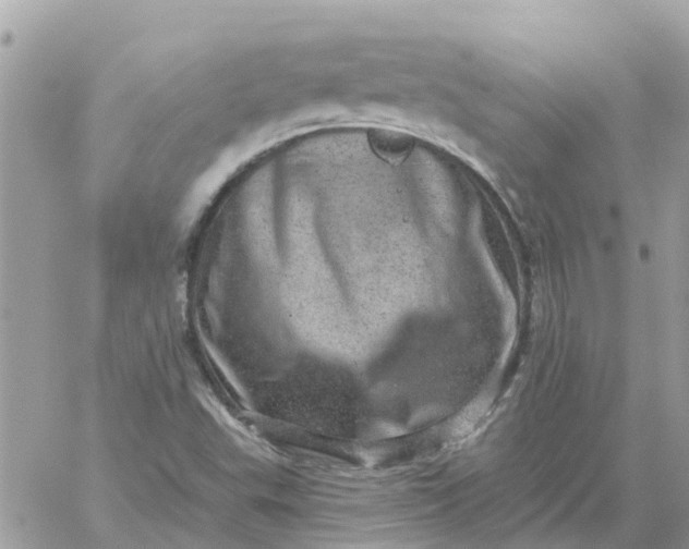 X0000059241503200510281917