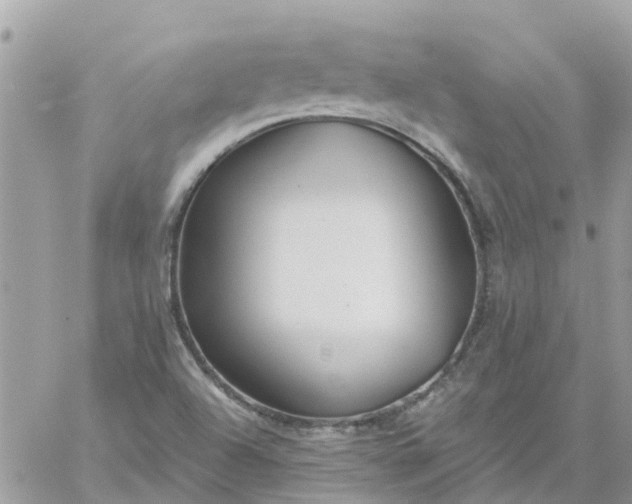 X0000059241504200510281917