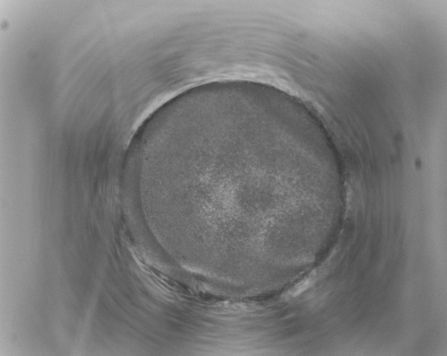 X0000059241505200510281917