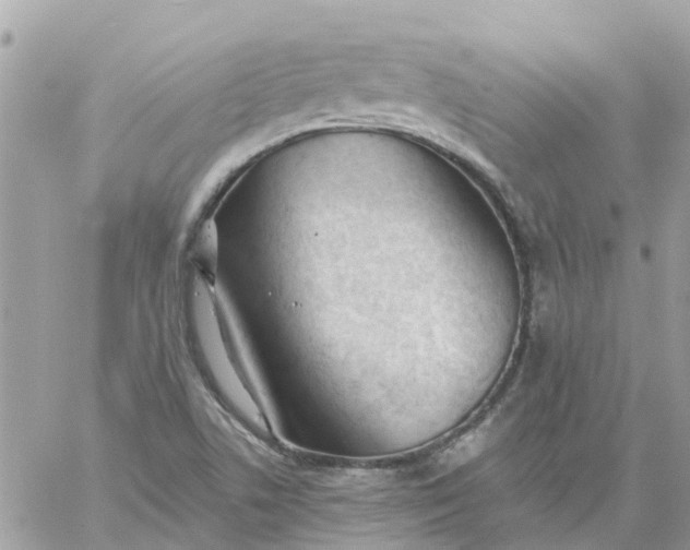 X0000059241506200510281917