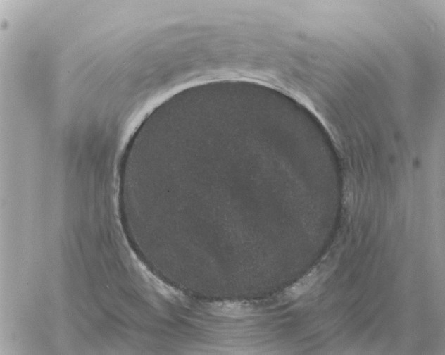 X0000059241508200510281917