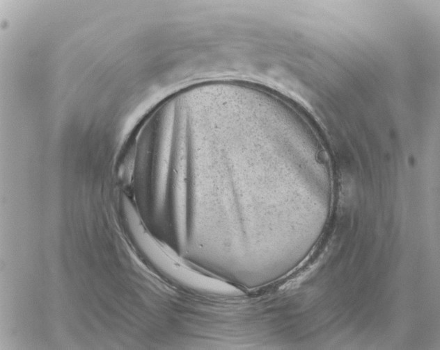 X0000059241509200510281917