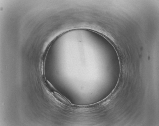 X0000059241510200510281917