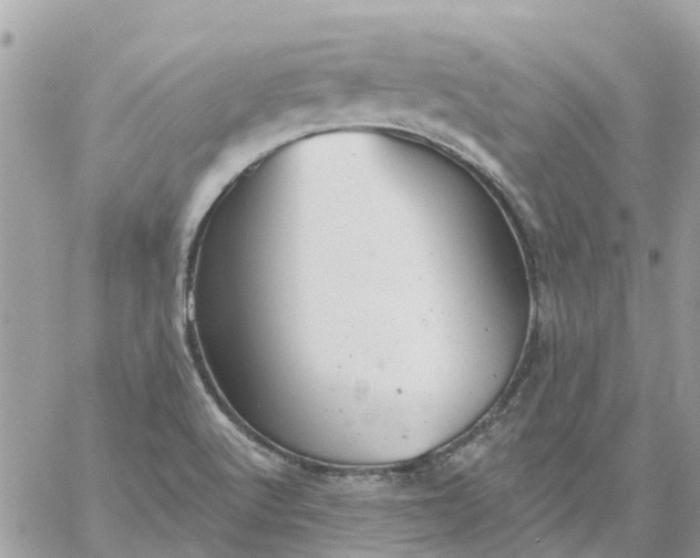 X0000059241512200510281917