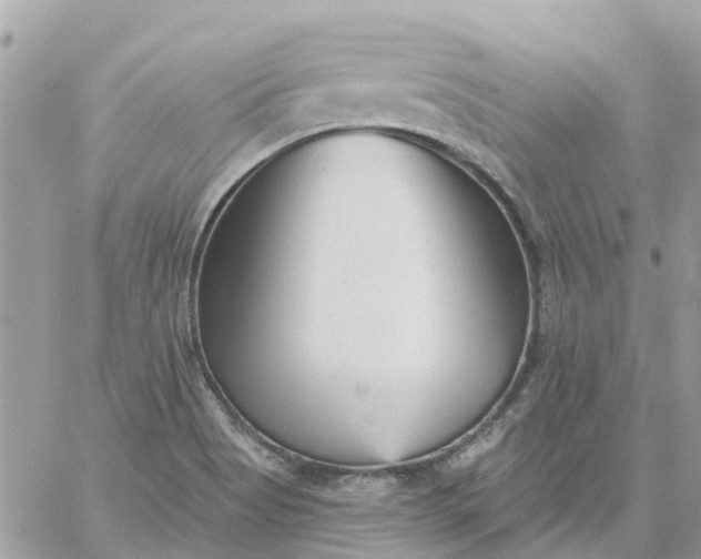 X0000059241513200510281917