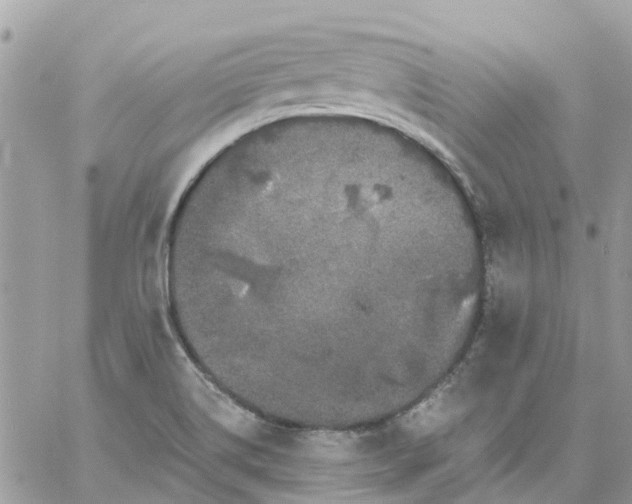 X0000059241514200510281917