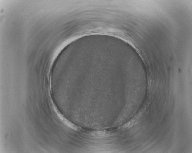 X0000059241515200510281917