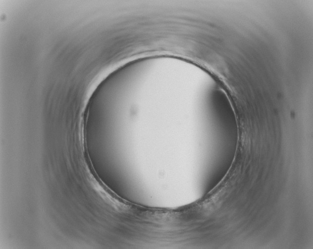 X0000059241516200510281917