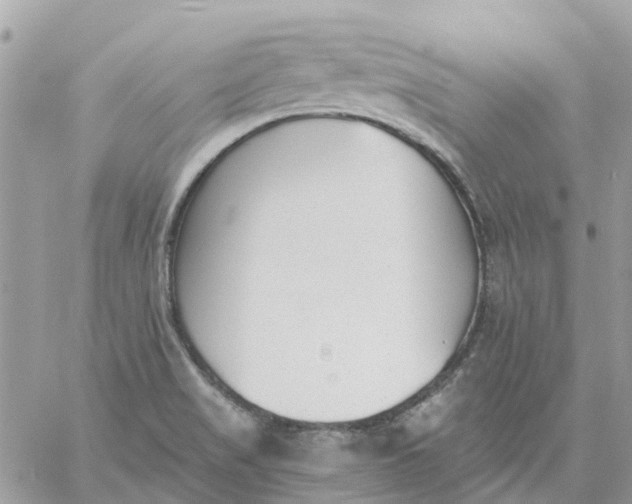 X0000059241517200510281917