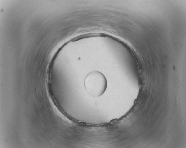 X0000059241518200510281918