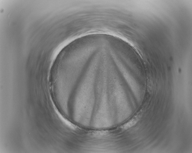 X0000059241519200510281918