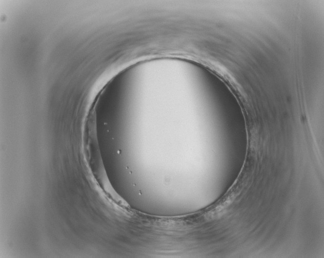 X0000059241520200510281918