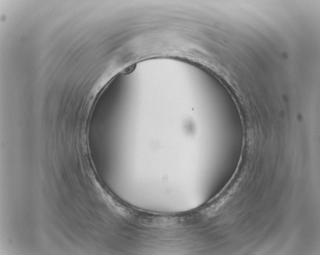 X0000059241521200510281918