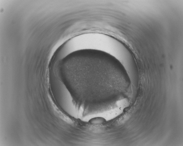 X0000059241522200510281918