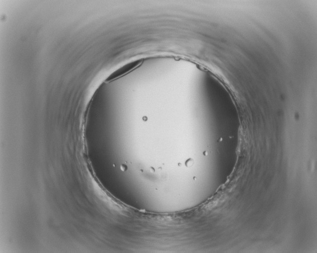 X0000059241524200510281918